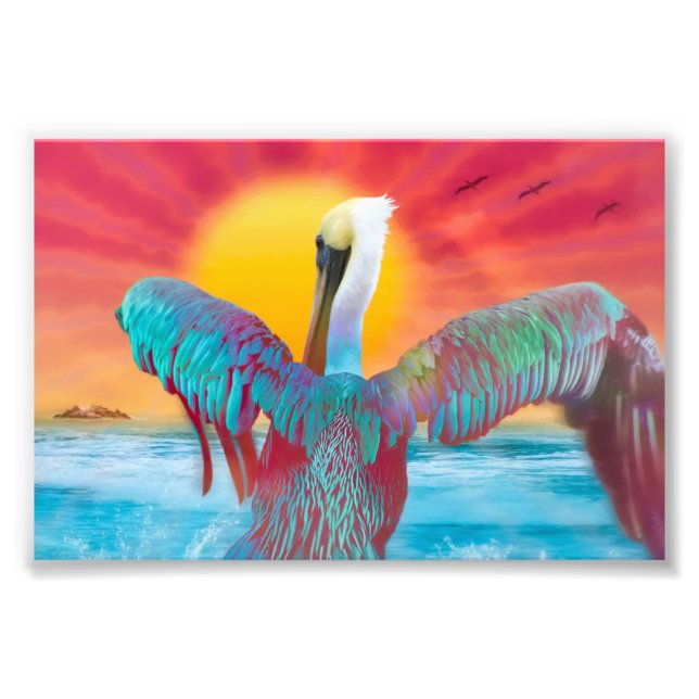 Brown Pelican ISLAND SUNSET Photo Print (Front)