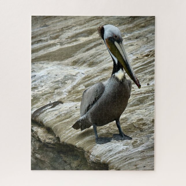 Brown Pelican Jigsaw Puzzle (Vertical)