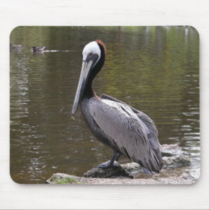 Brown Pelican Mouse Mat