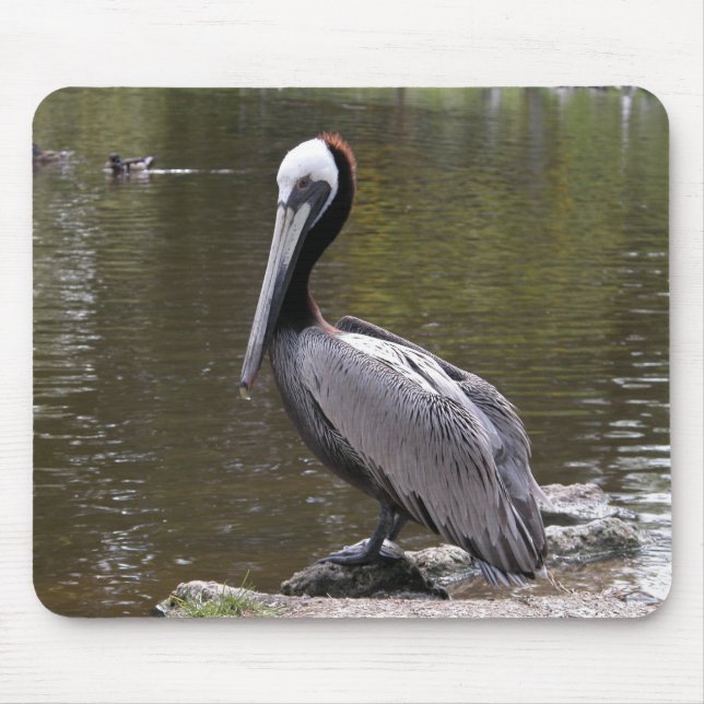 Brown Pelican Mouse Mat (Front)