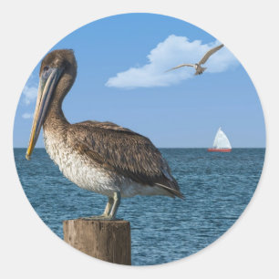Brown Pelican on a Post Sticker