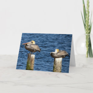 Brown Pelican Pair Roosting on Posts Greeting Card