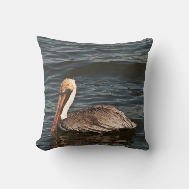 Brown pelican (Pelecanus occidentalis) Cushion (Front)