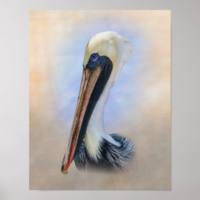 Brown Pelican Poster (Front)