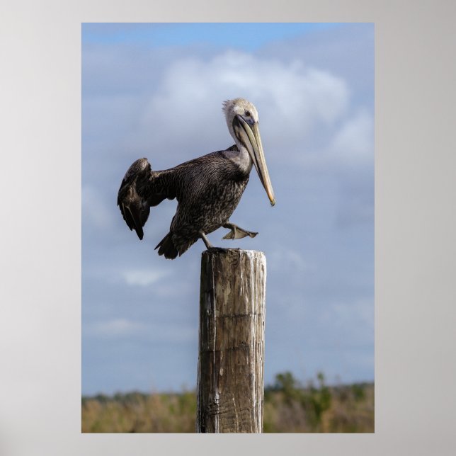 Brown Pelican Puzzle Poster (Front)