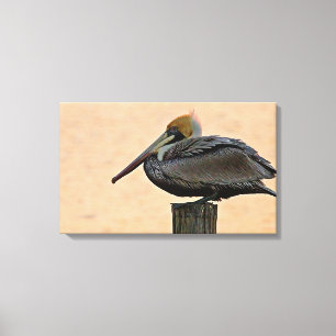 Brown Pelican Resting on Piling Canvas Print