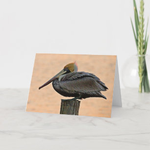Brown Pelican Resting on Piling Canvas Print Card