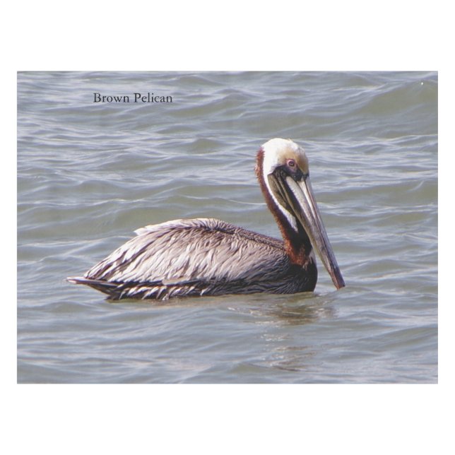 Brown Pelican tablecloth (Front (Horizontal))