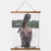 Brown Pelican Wildlife Nature Photography