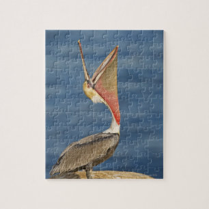 Brown Pelican with mouth open Jigsaw Puzzle
