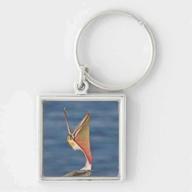 Brown Pelican with mouth open Key Ring (Front)