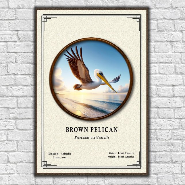 Brown Pelican Zoology Poster (Creator Uploaded)