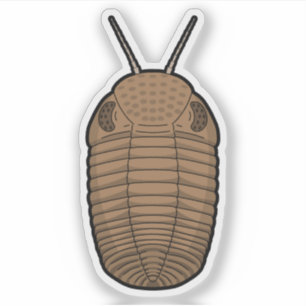 Brown Phacops Trilobite- Prehistoric Animal Vinyl