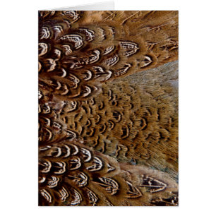 Brown Pheasant Feather Design