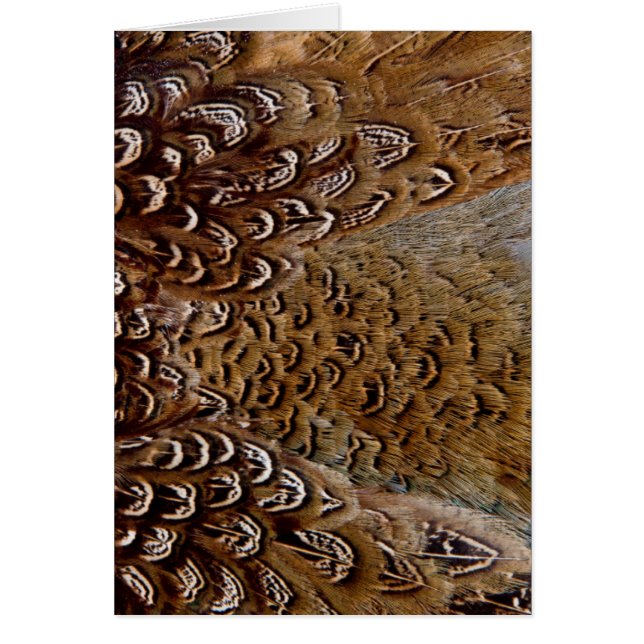 Brown Pheasant Feather Design (Front)