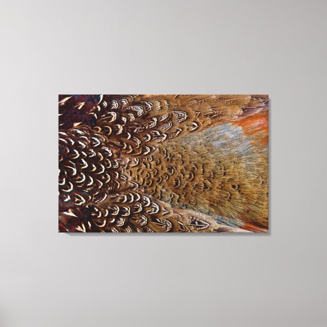 Brown Pheasant Feather Design Canvas Print (Front)