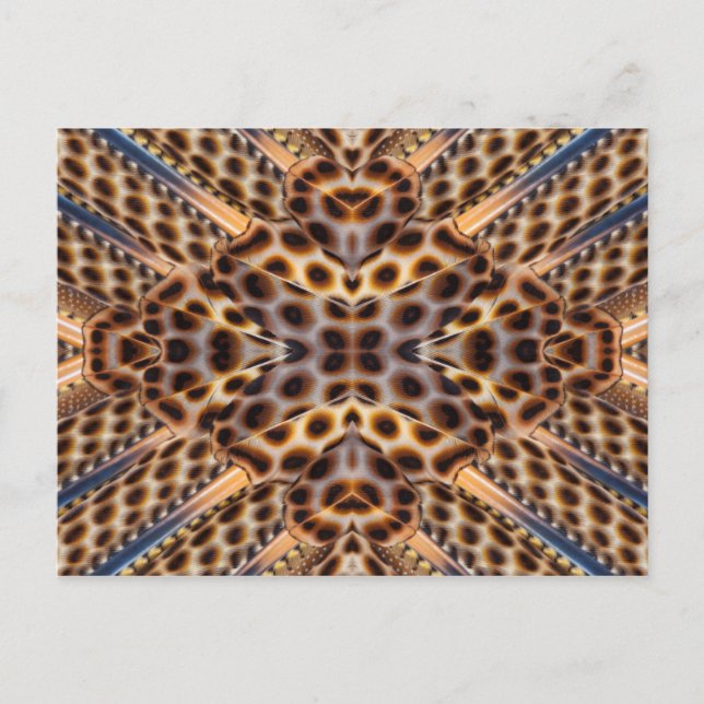 Brown pheasant feather kaleidoscope postcard (Front)