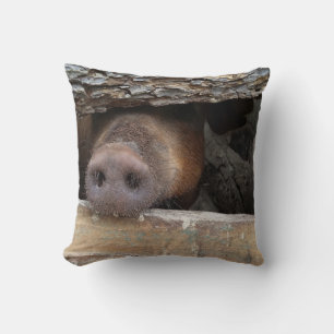 Brown Pig Poking Nose through Rustic Fence Cushion