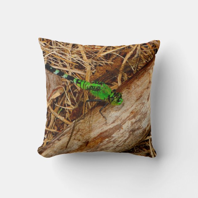 Brown Pillow Green dragonfly, green eyes (Front)