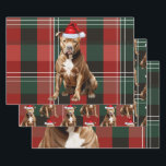 Brown Pit Bull Christmas Dog Red Green Plaid Wrapping Paper Sheet<br><div class="desc">An adorable brown Pitbull Terrier dog is ready for the holiday season with his Santa hat. This cute Christmas dog is paired with a red and green holiday plaid on this set of gift wrap for the dog lover.</div>