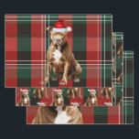 Brown Pit Bull Christmas Dog Red Green Plaid Wrapping Paper Sheet<br><div class="desc">An adorable brown Pitbull Terrier dog is ready for the holiday season with his Santa hat. This cute Christmas dog is paired with a red and green holiday plaid on this set of gift wrap for the dog lover.</div>