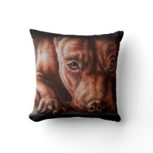 Brown pitbull face drawing of pet portrait dog