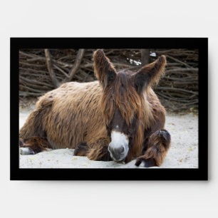 Brown Poitou Donkey Envelope