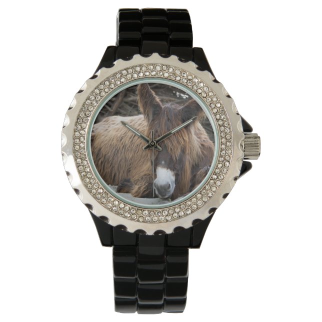 Brown Poitou Donkey Watch (Front)