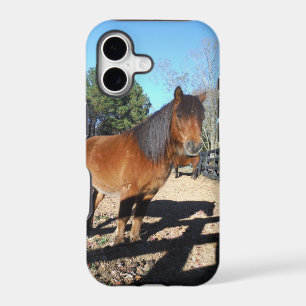 Brown pony turquoise Sky