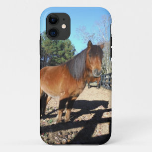 Brown pony turquoise Sky iPhone 11 Case