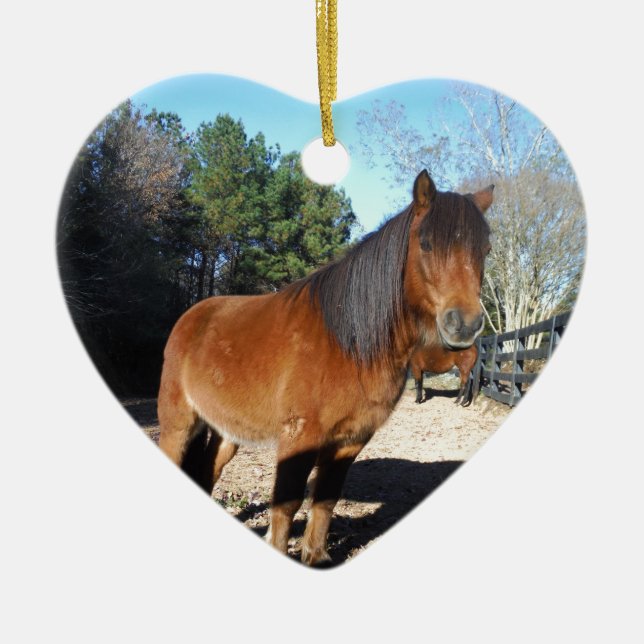 Brown pony turquoise Sky Ceramic Tree Decoration (Front)