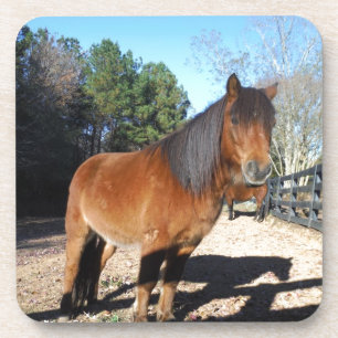 Brown pony turquoise Sky Coaster