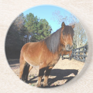 Brown pony turquoise Sky Coaster