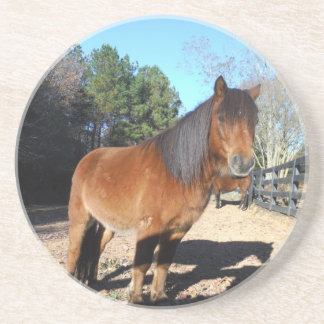 Brown pony turquoise Sky Coaster