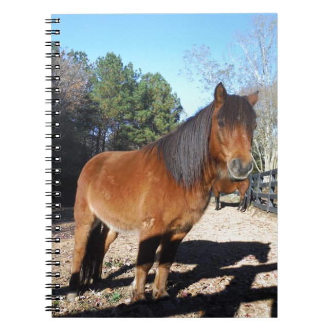 Brown pony turquoise Sky Notebook (Front)