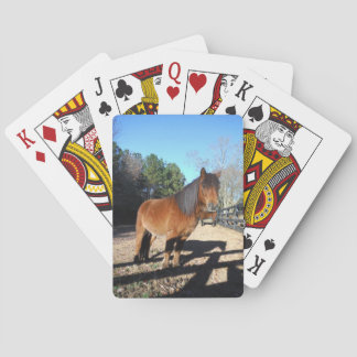 Brown pony turquoise Sky Playing Cards