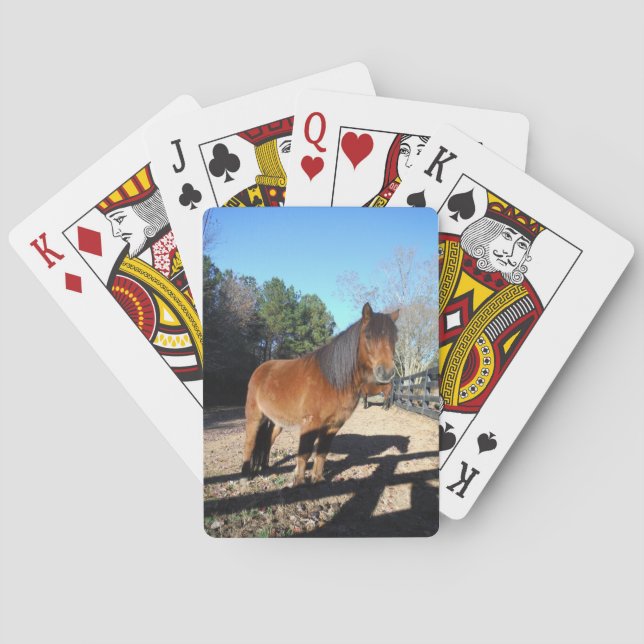 Brown pony turquoise Sky Playing Cards (Back)