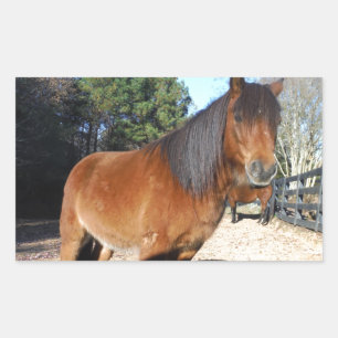 Brown pony turquoise Sky Rectangular Sticker