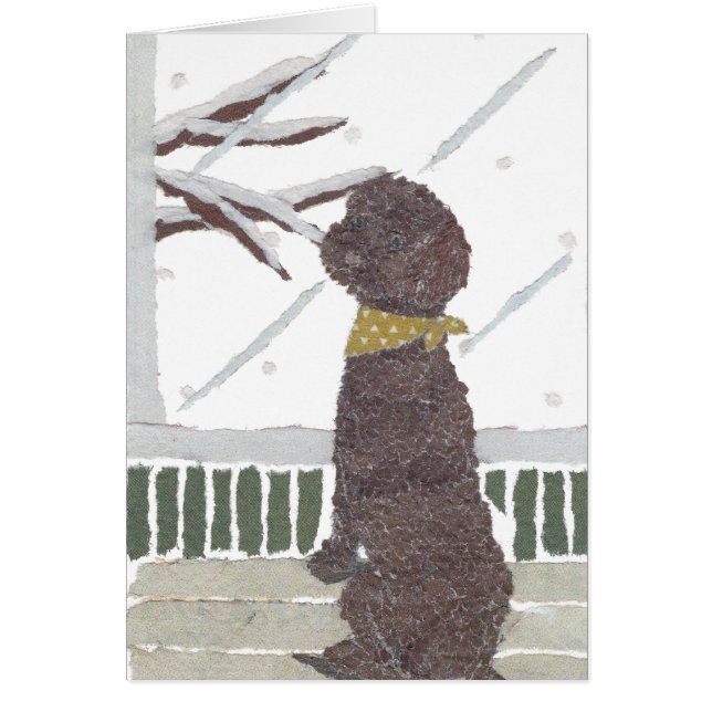 Brown Poodle, Chocolate Poodle (Front)