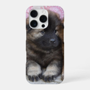 Brown puppy photo iPhone 16 case