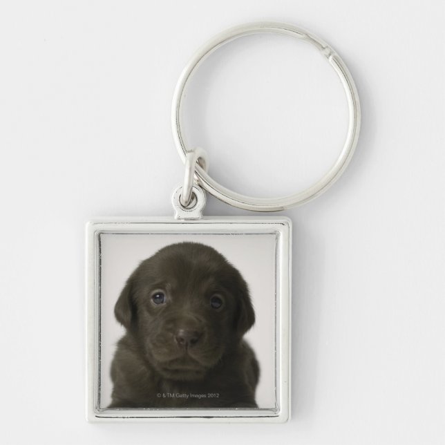 Brown puppy, portrait, close-up key ring (Front)