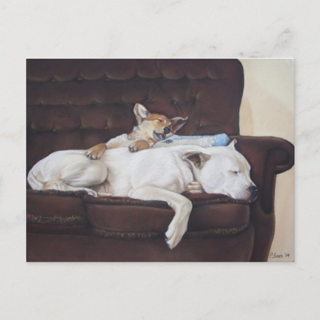brown puppy white american bulldog realist art postcard (Front)