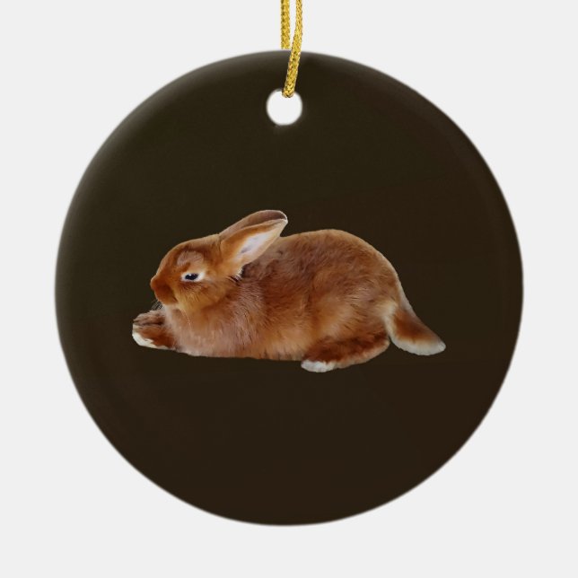 Brown Rabbit Ceramic Tree Decoration (Front)