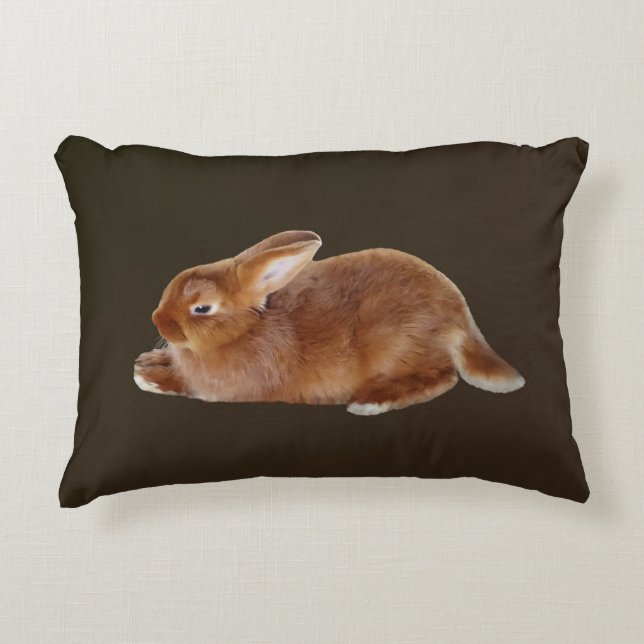 Brown Rabbit Decorative Cushion (Front)