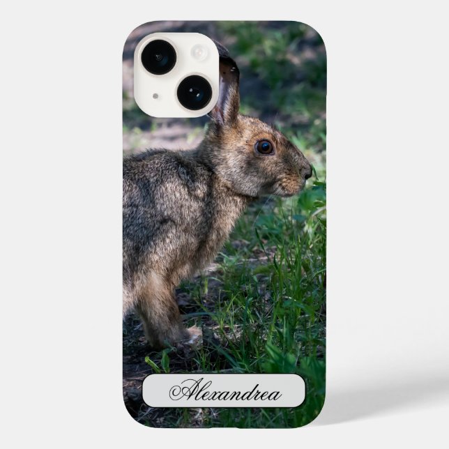 Brown Rabbit, Resting in Nature Case-Mate iPhone Case (Back)