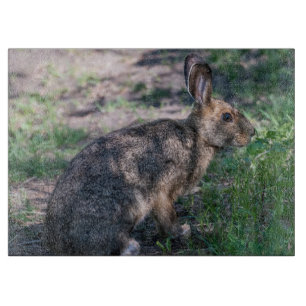 Brown Rabbit, Resting in Nature Cutting Board