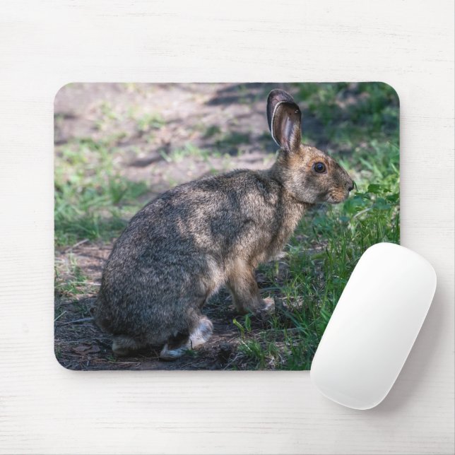 Brown Rabbit, Resting in Nature Mouse Mat (With Mouse)