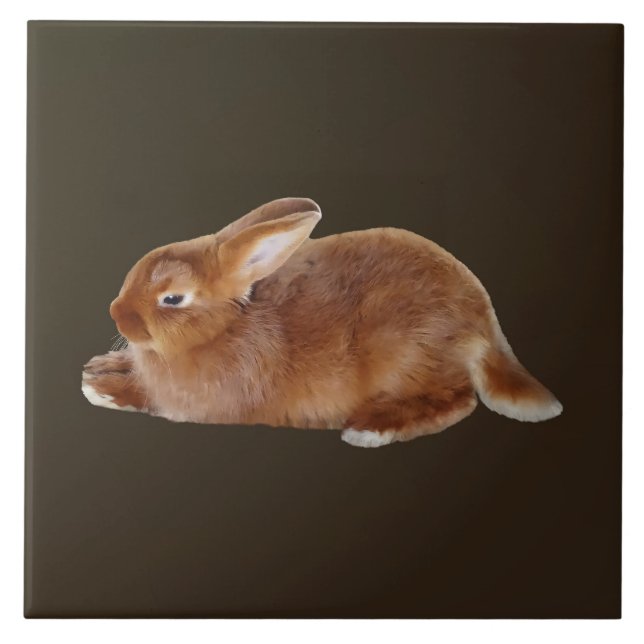 Brown Rabbit Tile (Front)