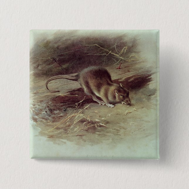 Brown Rat  1918 15 Cm Square Badge (Front)
