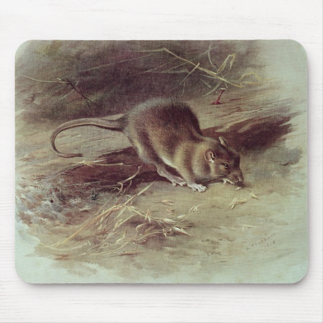 Brown Rat  1918 Mouse Mat (Front)